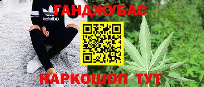 мяу мяу мука Моздок