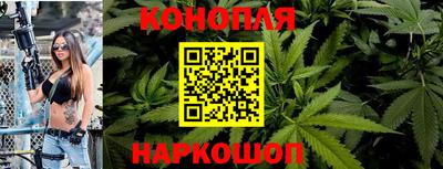 мяу мяу мука Моздок