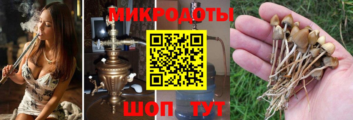 Псилоцибиновые грибы мицелий Усинск